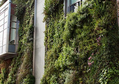 Living Wall
